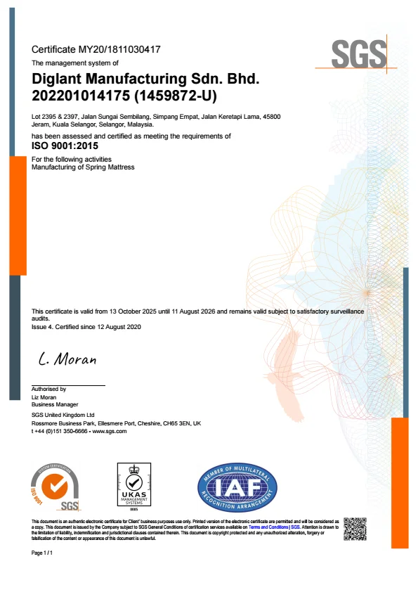 SGS ISO 9001:2015
